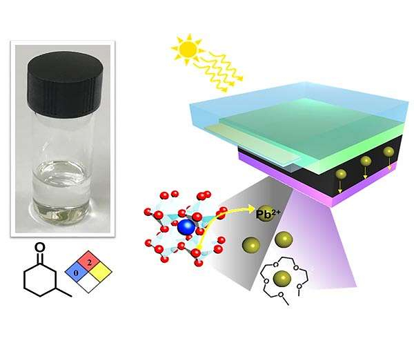 Perovskite solar cells constructed from pepper mint oil and also walnut scent artificial additive, stopping lead leak