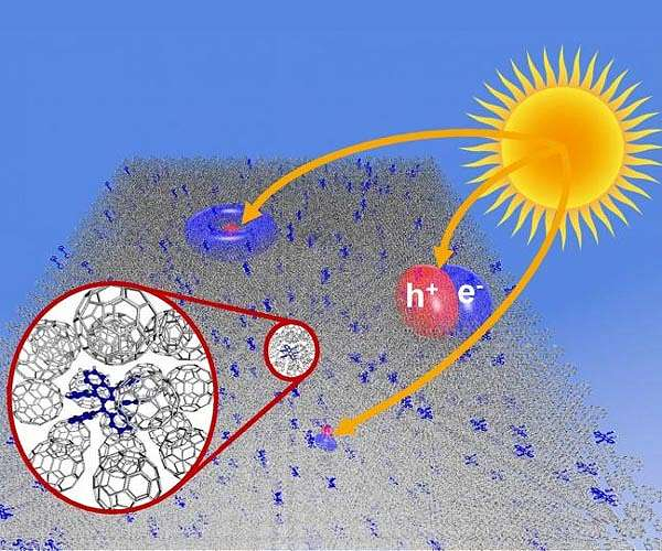 On the route of natural solar cells' effectiveness