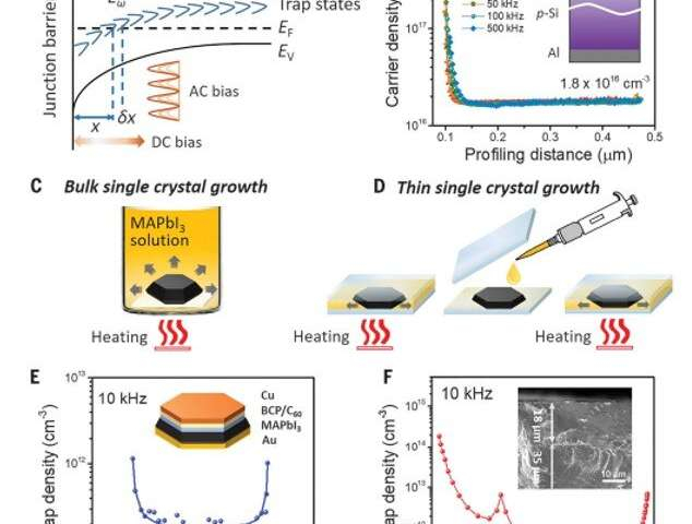 Handling energised as well as spatial circulations of catch states in steel halide perovskite solar cells