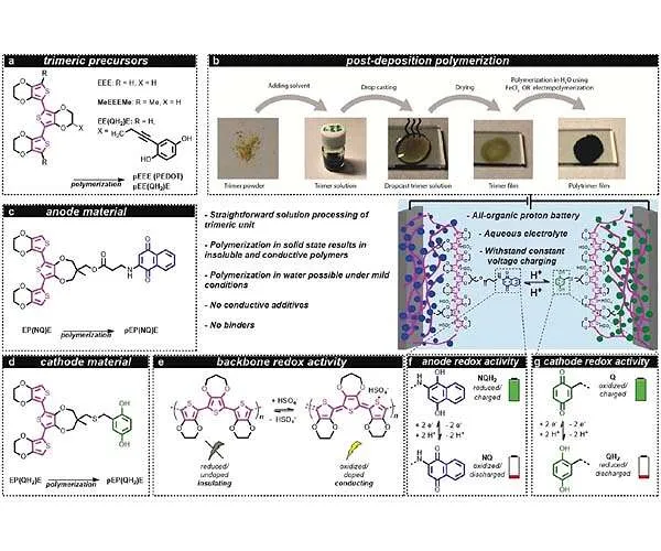 An all-organic proton battery stimulated for lasting power storage