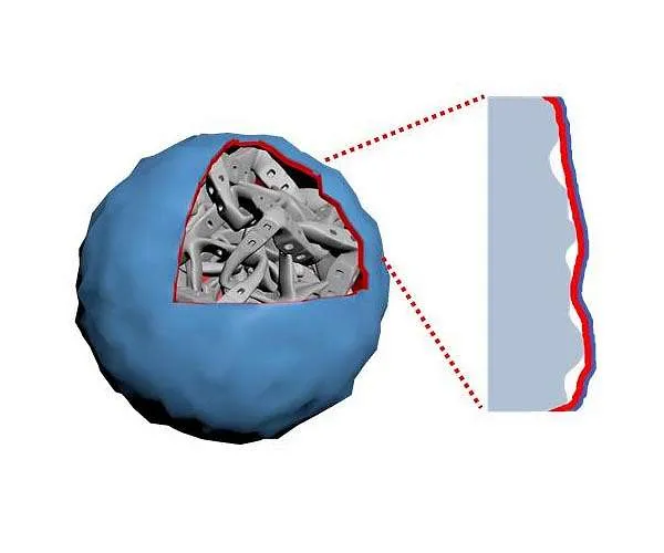 Scientists take on a brand-new possibility to create high-energy batteries