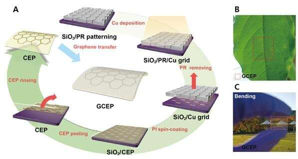 Enhancing the performance of solar cells with 'graphene armor'