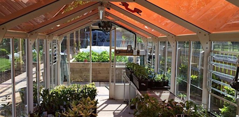 Thin-film amorphous silicon greenhouses begin to grow