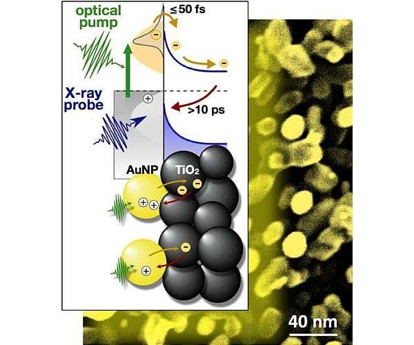 Scientists catch honest photos of electrons collecting light at the atomic scale