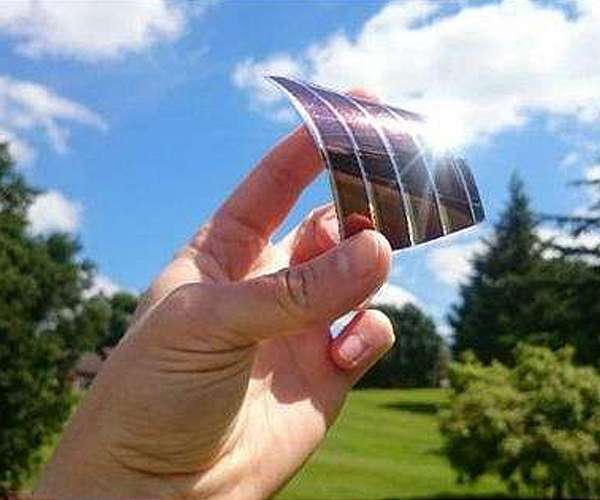 Light on efficiency loss in natural solar cells