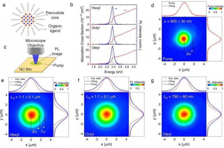 Long-range energy transport in perovskite nanocrystal films