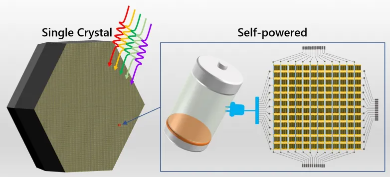 Multi-inch single-crystalline perovskite for self-powered incorporated circuit photodetection reported