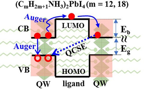 Research exposes auger-assisted electron transfer device in between adjacent quantum wells in 2D layered perovskites