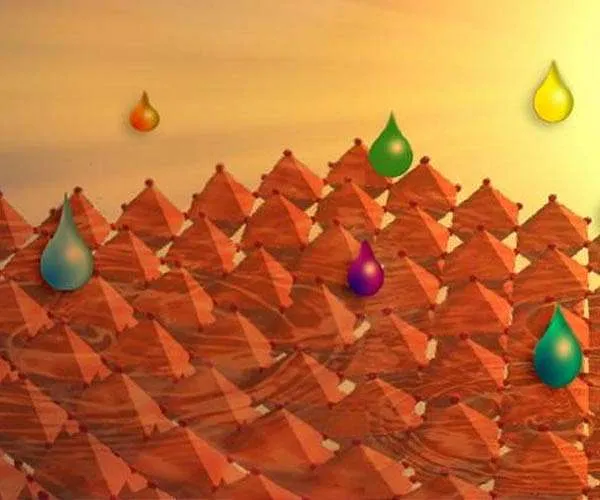 A basic approach to high-efficiency perovskite solar cells