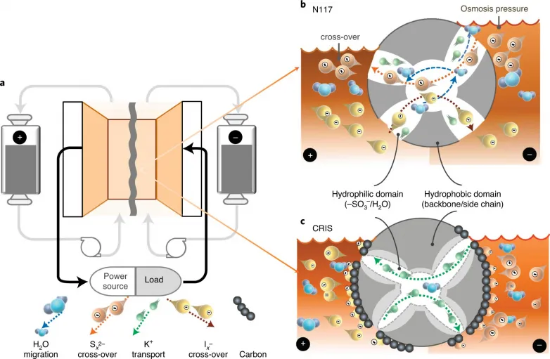 Membrane layout stops crossover in polysulfide redox flow batteries