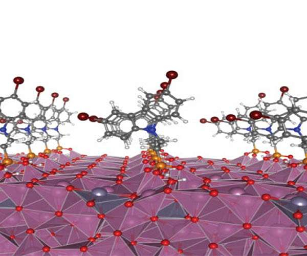 Molecular coating boosts organic solar cells
