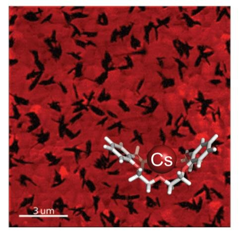 Crown ethers improve perovskite solar cell security