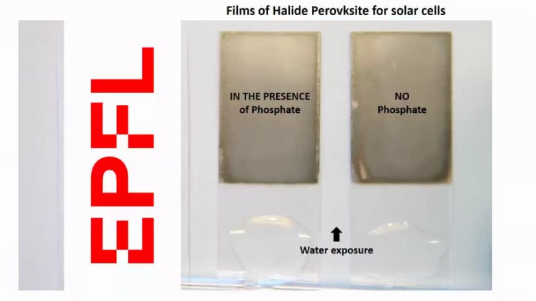 Removing the lead risk from perovskite solar cells