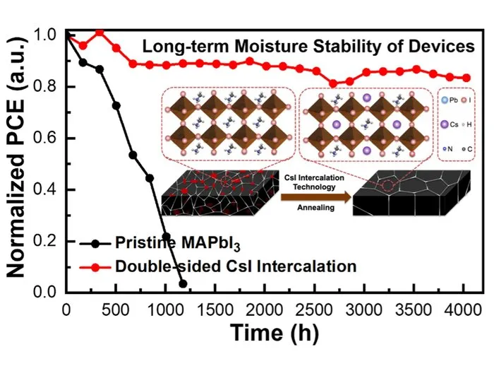 An universal intercalation technique for high-stable perovskite photovoltaics