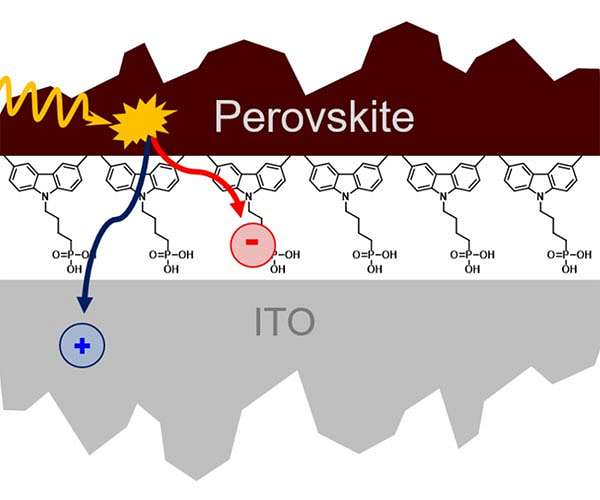 Perovskite solar cells: Interfacial loss systems revealed