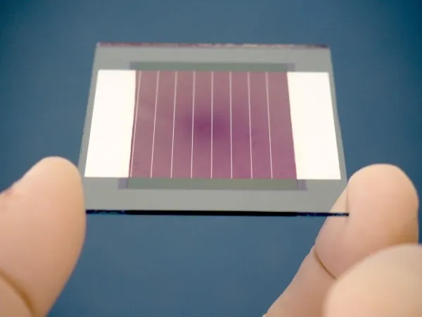 Efficiency record for an organic PV mini module