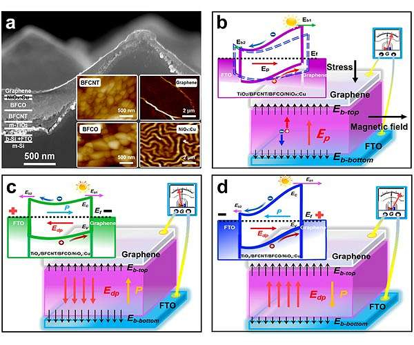 Multiferroic materials: Further improve the efficiency of solar cells
