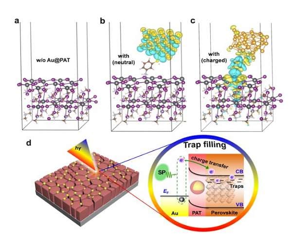Plasmon-induced trap filling at grain boundaries in perovskite solar cells