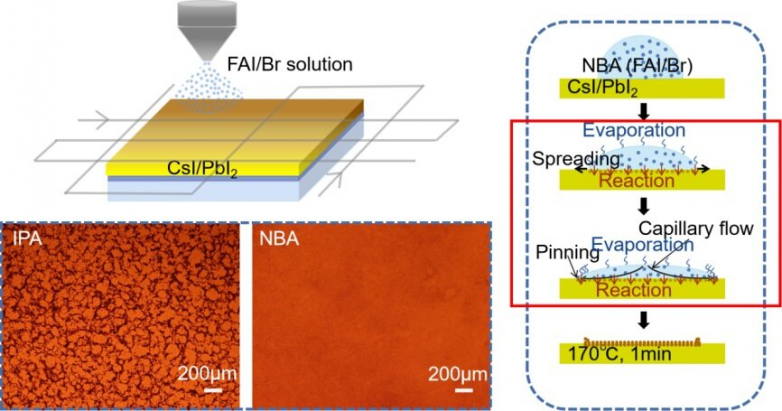 Reaction-dependent coffee-ring-regulating technique in spray-coating perovskite