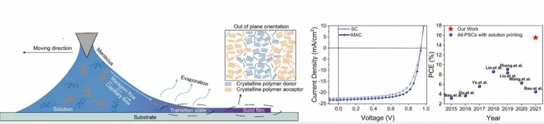 Highly efficient, all-polymer solar cells prepared under meniscus-assisted coating method