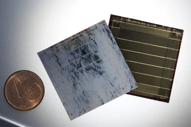 Perovskite solar modules with a marble look