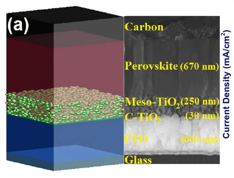 Carbon-based, HTL-free perovskite solar cells with 26% performance
