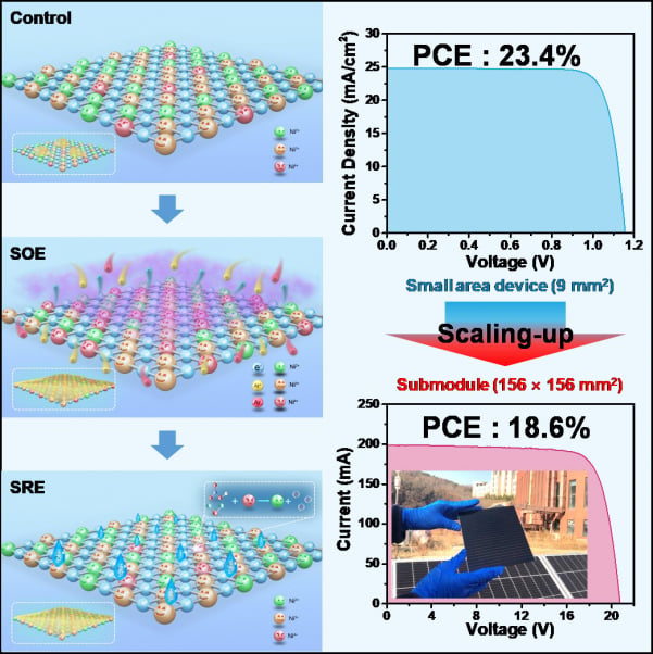Researchers fabricate high-performance, large-area perovskite submodules for solar cells
