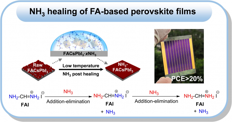 Using ammonia to heal perovskite film for photovoltaic panel construction