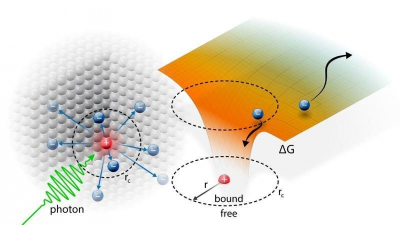 Excitons need space to separate: Free carrier production in organic solar cells