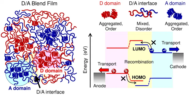 Improved performance of all-polymer solar cells