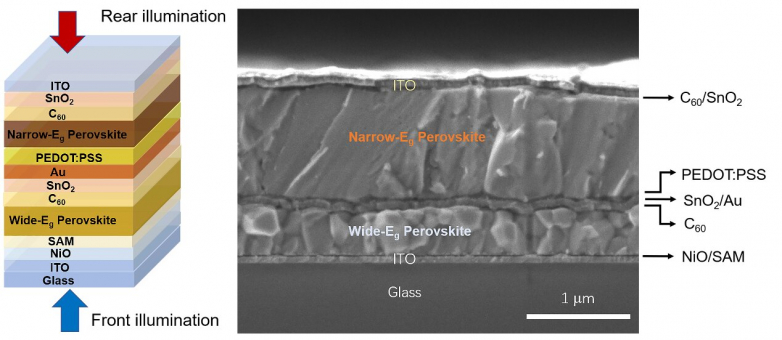 Bifacial monolithic all-perovskite tandem solar cells form new architecture
