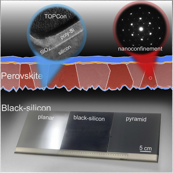 Researchers establish high-efficiency monolithic perovskite/black silicon TOPCon tandem solar cells