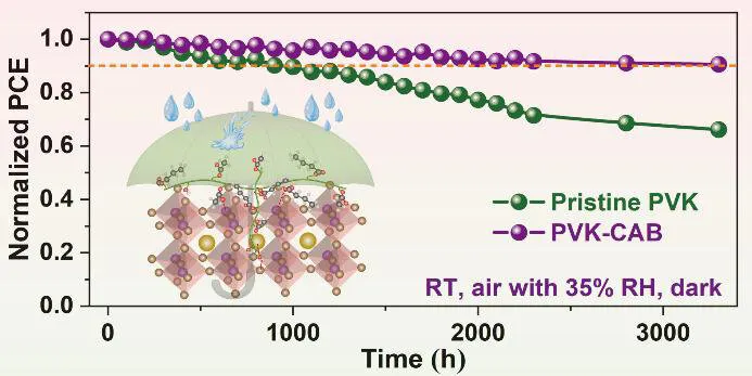 Enhancing the stability of perovskite solar cells with a green as well as low-cost organic additive