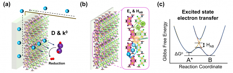 Unraveling the interfacial interactions of lead-free perovskite for efficient hydrogen manufacturing