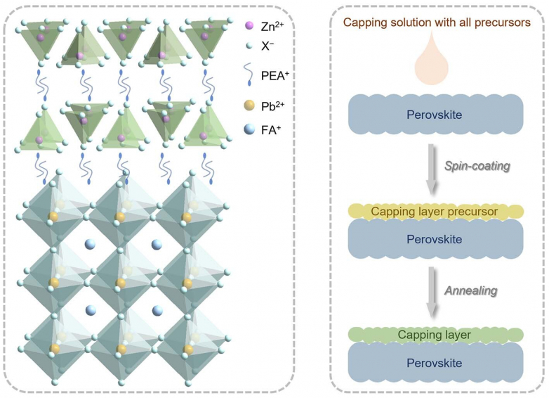 NTU Singapore Scientists Develop Eco-friendly Capping Materials for Perovskite Solar Cells