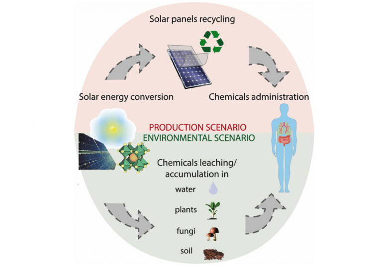 Researchers check out perovskite solar cells' toxicity as well as suggest risks may be overestimated