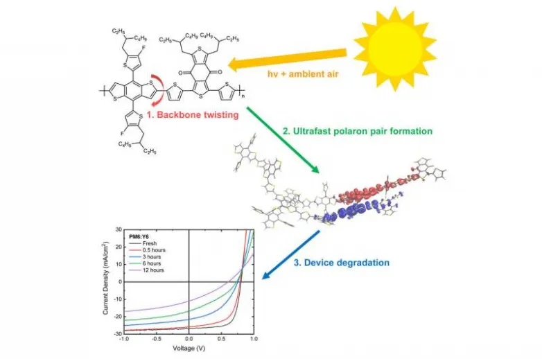 New findings lead the way for stable organic solar cells that may enable cheap as well as renewable electrical energy generation