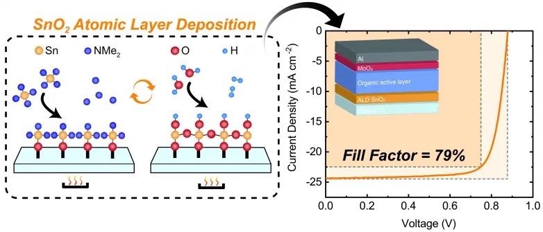 Impressive performance of organic solar cell using tin oxide