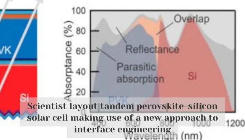 Scientist layout tandem perovskite-silicon solar cell making use of a new approach to interface engineering