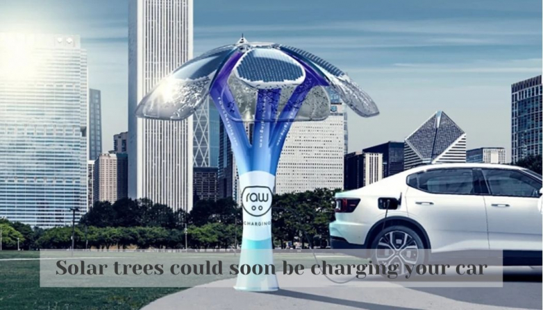 Solar trees could soon be charging your car