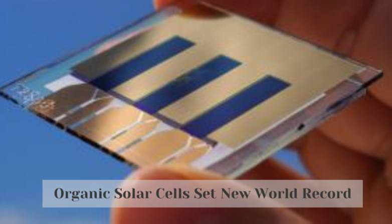 Organic Solar Cells Set New World Record
