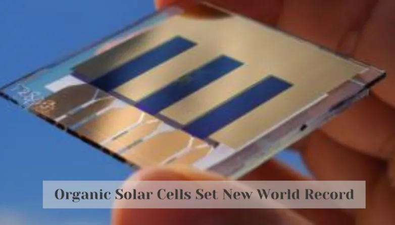 Organic Solar Cells Set New World Record