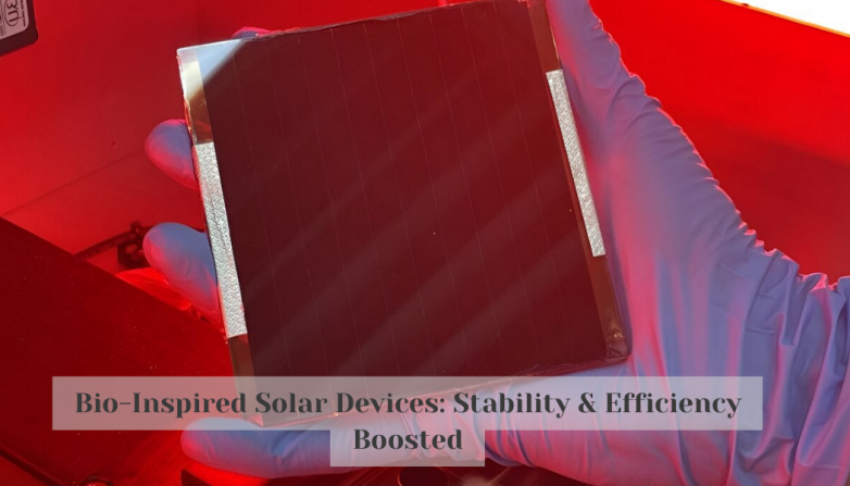 Bio-Inspired Solar Devices: Stability & Efficiency Boosted