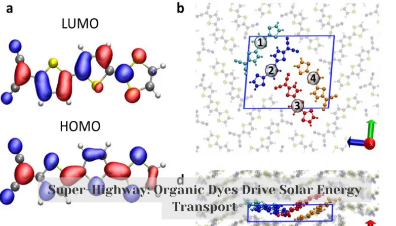 Super-Highway: Organic Dyes Drive Solar Energy Transport