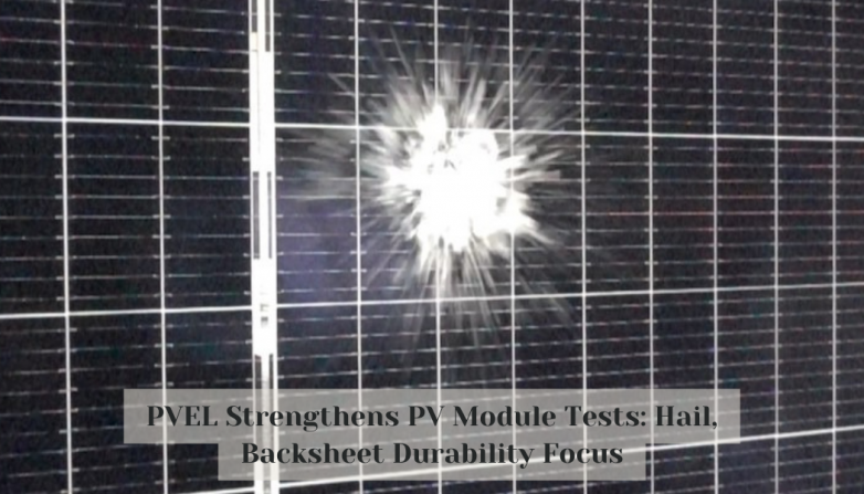 PVEL Strengthens PV Module Tests: Hail, Backsheet Durability Focus