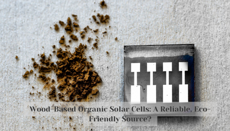 Wood-Based Organic Solar Cells: A Reliable, Eco-Friendly Source?