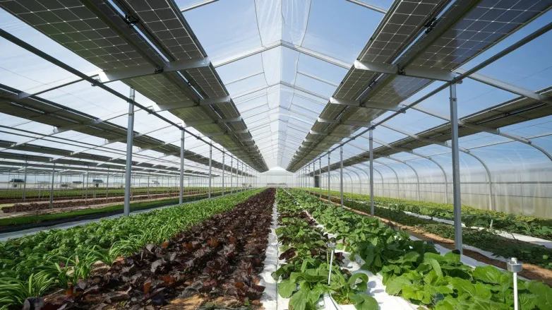 Japan Launches Agrivoltaic Solar Cell Demonstration Test