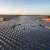 Camphor Additives Boost Perovskite Solar Cell Efficiency