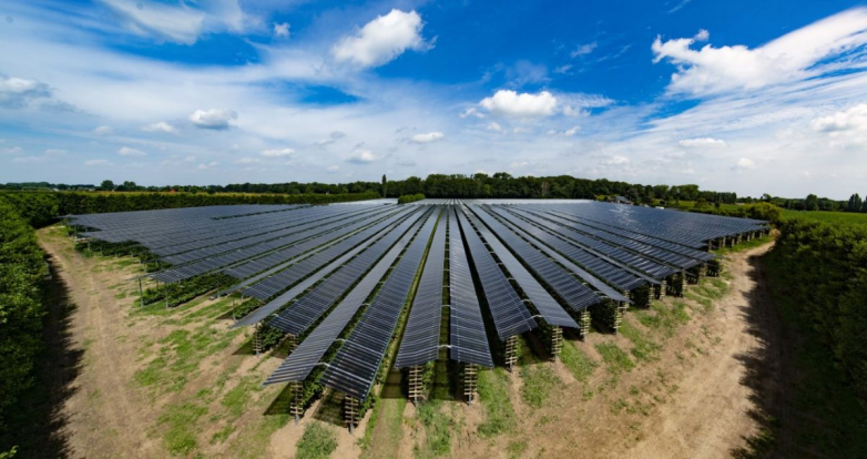 Special solar panels for agrivoltaics