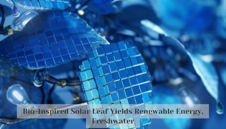 Bio-Inspired Solar Leaf Yields Renewable Energy, Freshwater
